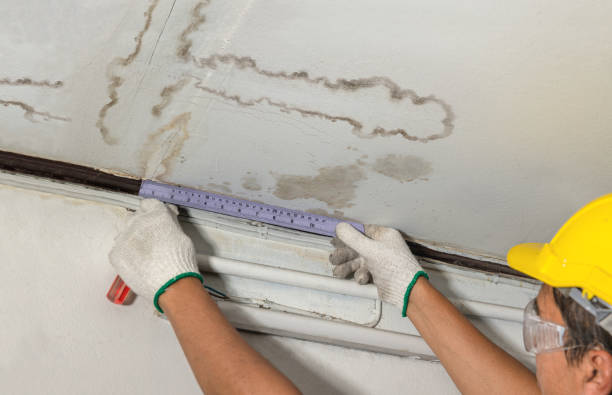 Affordable Water Damage Repair solutions in Carbonado, WA